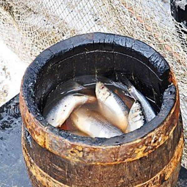 Scandinavian Salted Fish