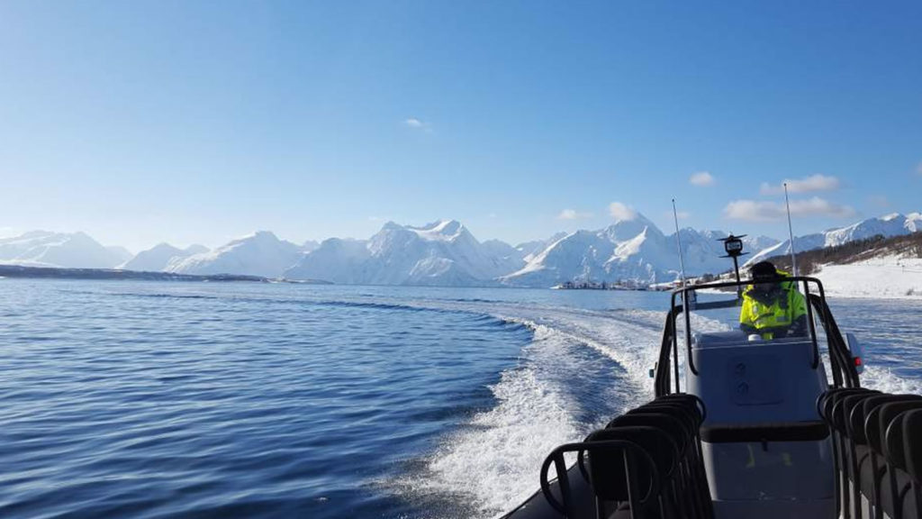 Northern Lights and Midnight Sun Skiing in Norway