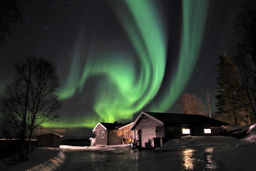 Northern Lights and Midnight Sun Skiing in Norway
