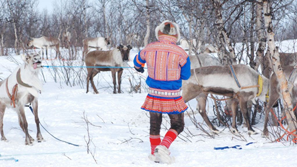 Climate Change Threatening Arctic Reindeer