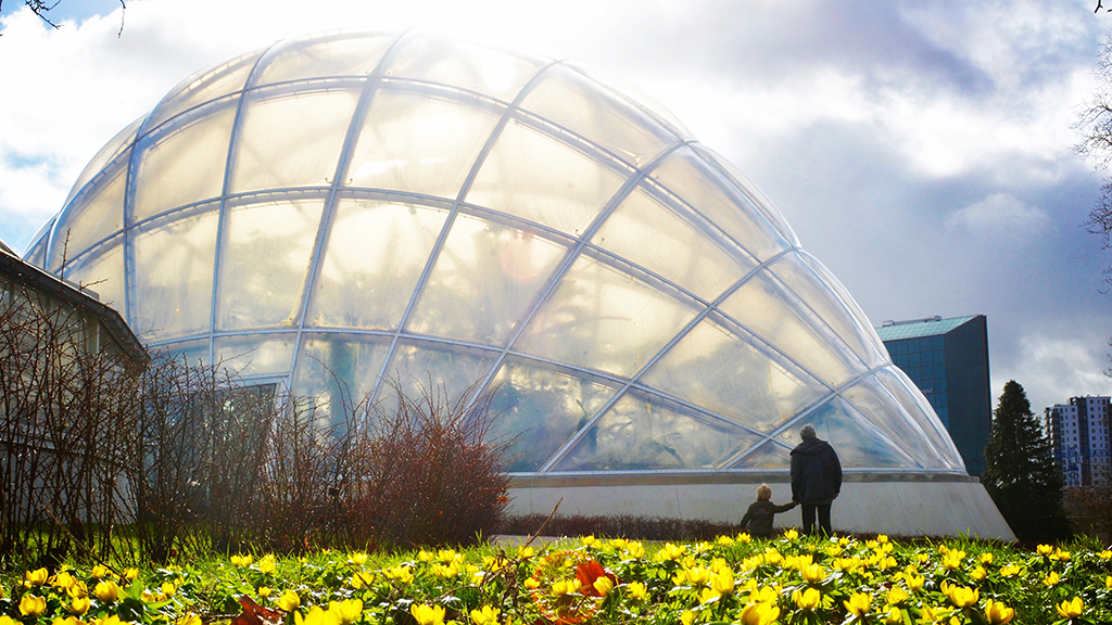 Must-Visits in Denmark’s Most Interesting City