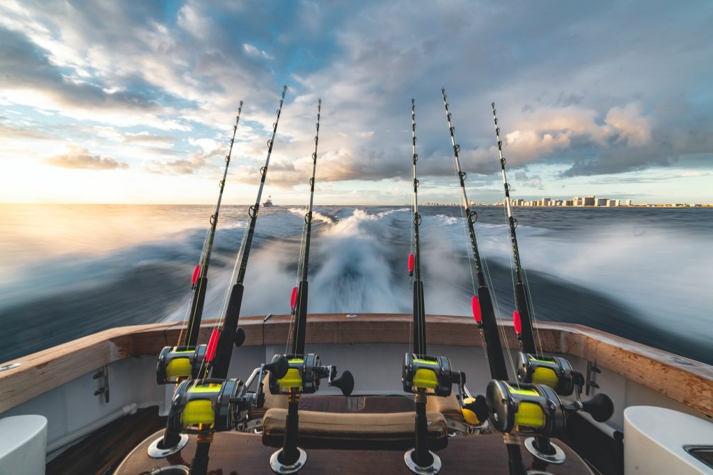 Improve Your Fishing With Swedish App