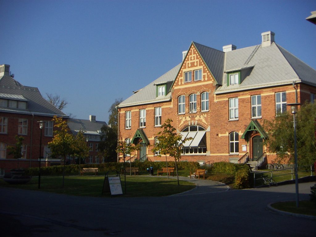 Top Scandinavian Universities for Foreigners: Where to Study?