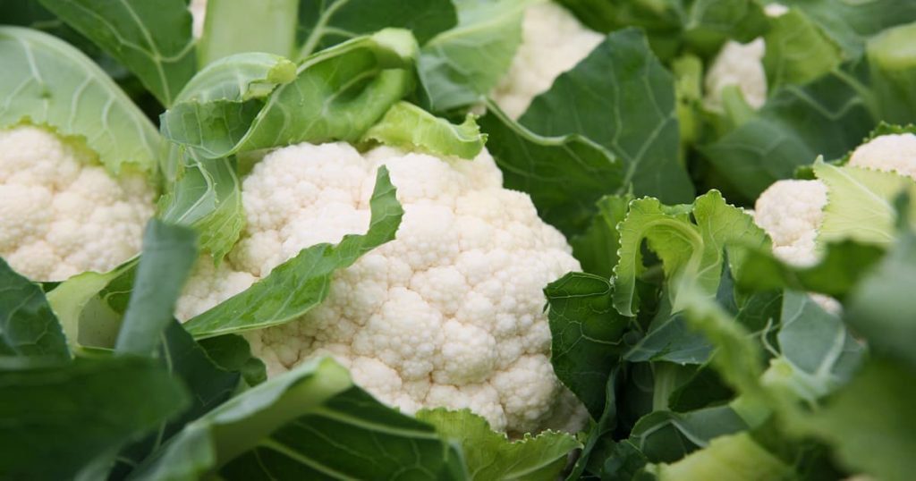 Scandinavian Cabbage & Kale