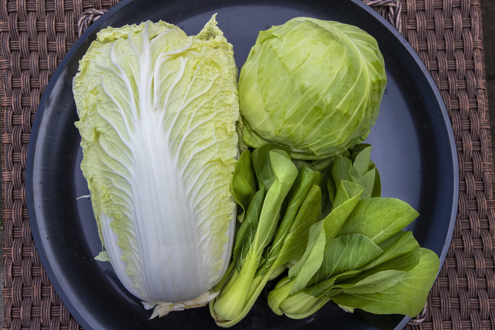 Scandinavian Cabbage & Kale