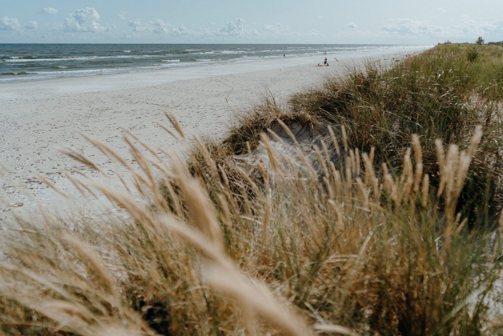 Meet Locals in Scandinavia
