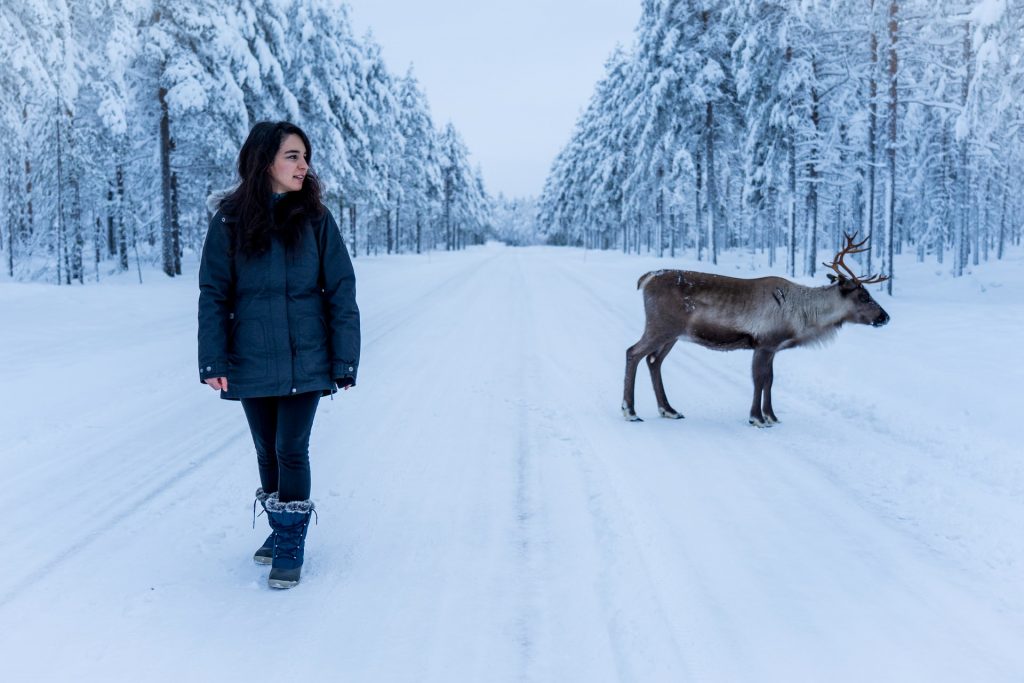 Meet Locals in Scandinavia