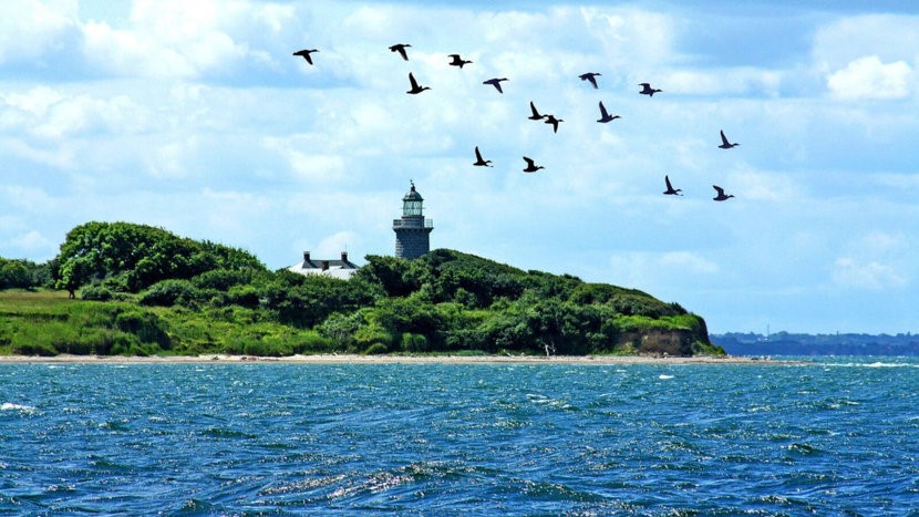 The Danish Garden Island 