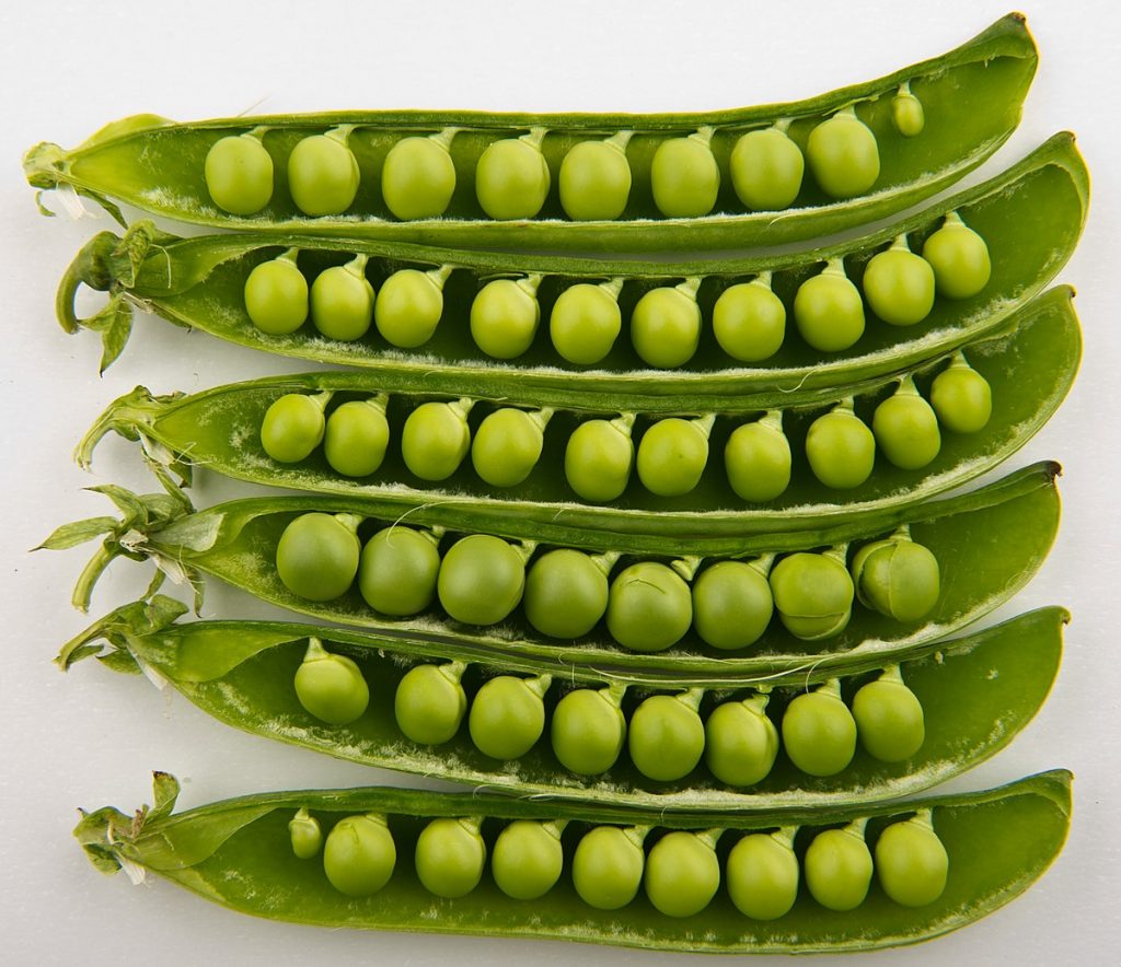 Scandinavian Peas