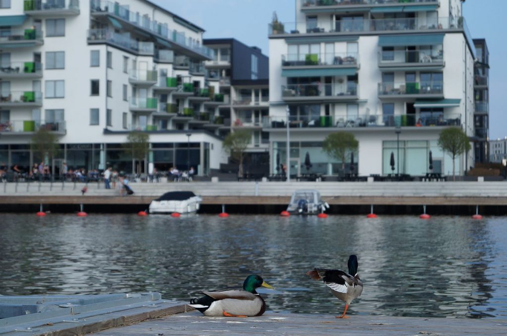 Top Fishing Spots in Stockholm