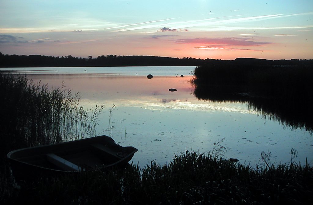 Top Fishing Spots in Stockholm