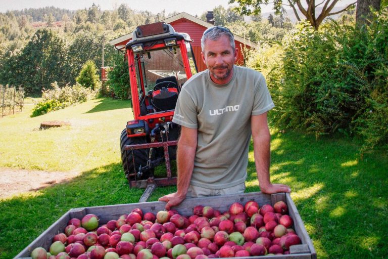 Fruit from Scandinavia