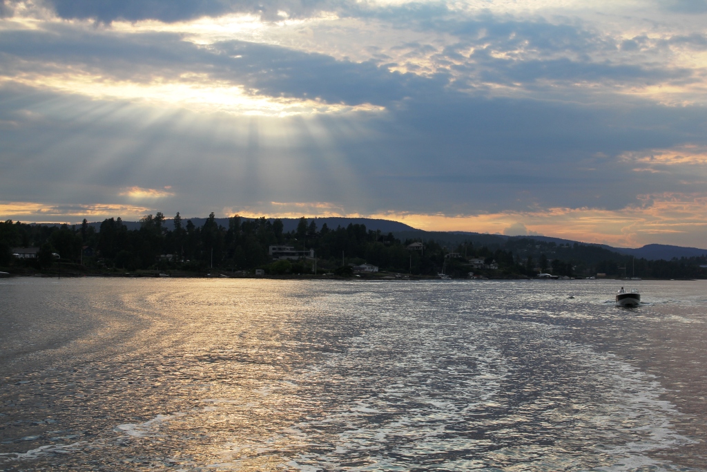 Enjoy Prawns - the Oslo Fjord Style