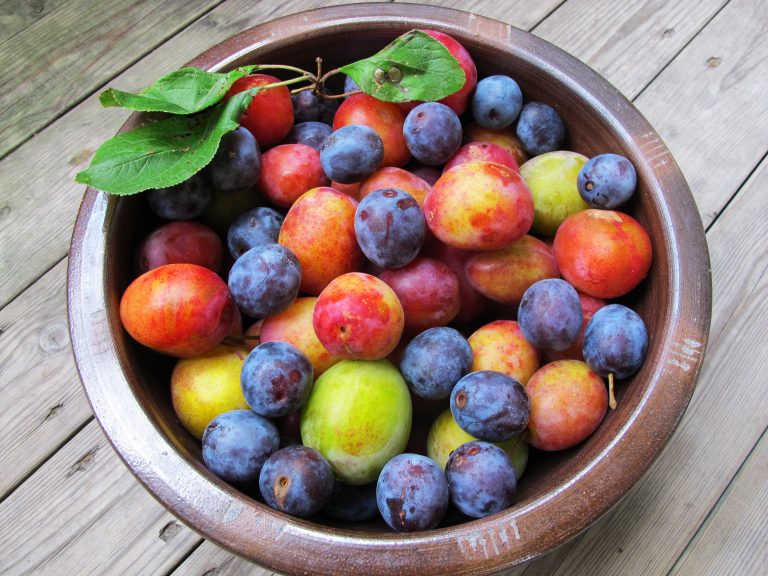 Scandinavian Plum