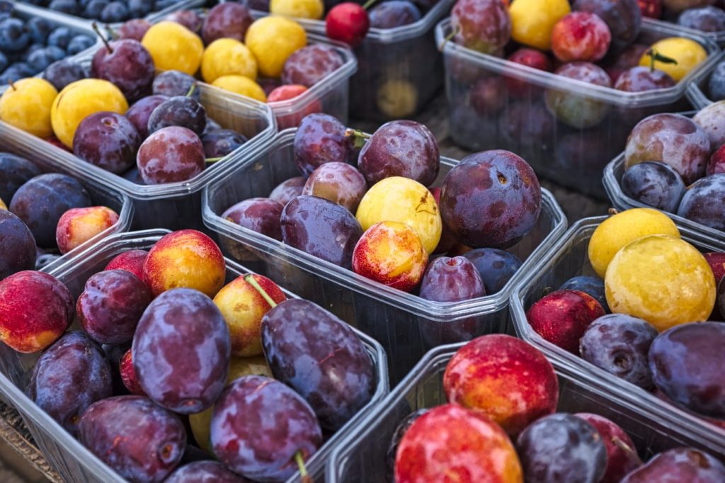 Scandinavian Plum