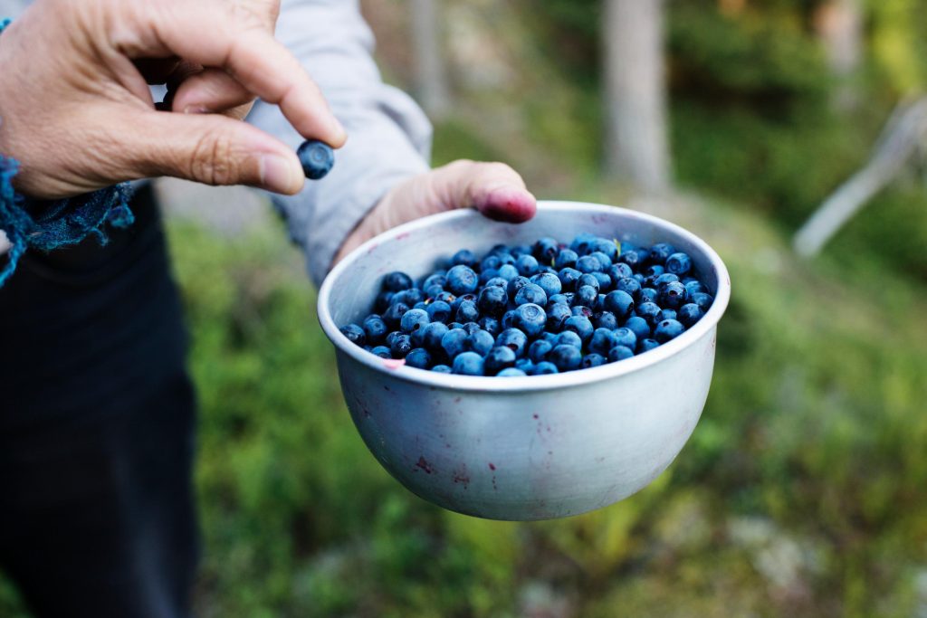 Scandinavian berries