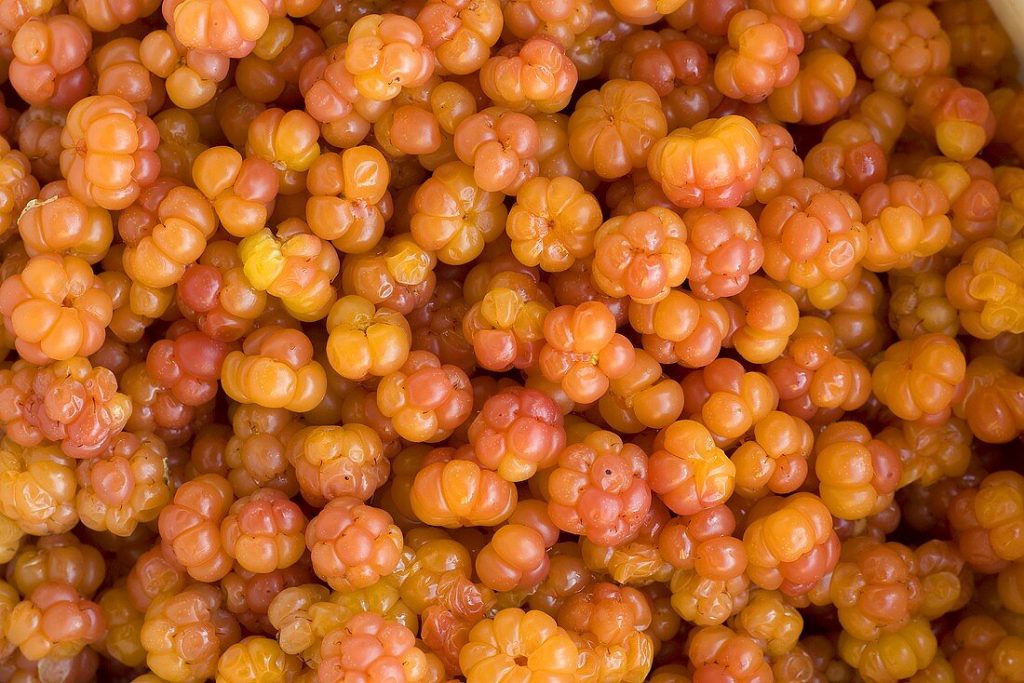 Scandinavian berries