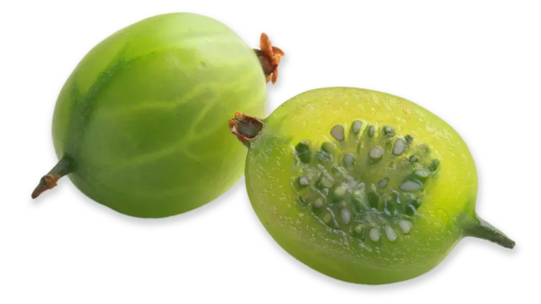 Scandinavian gooseberries