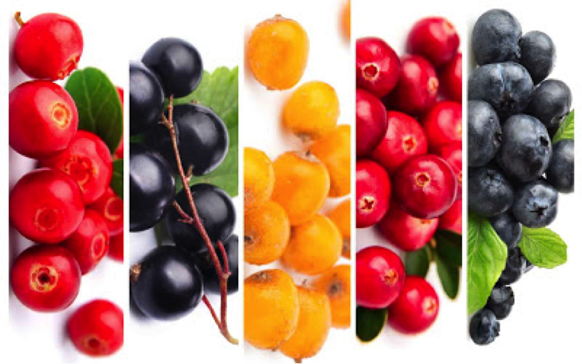 Scandinavian gooseberries